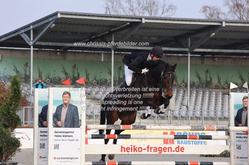 Preview nico flint mit question mark IMG_0111.jpg